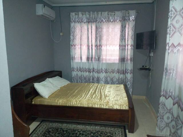 Great Room For Rent in 2 Bedroom Apt Freetown