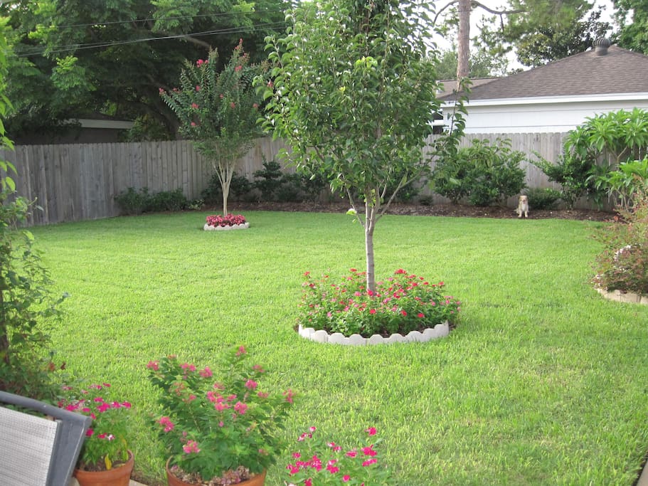 Clean, large backyard. Great for kids to play.
