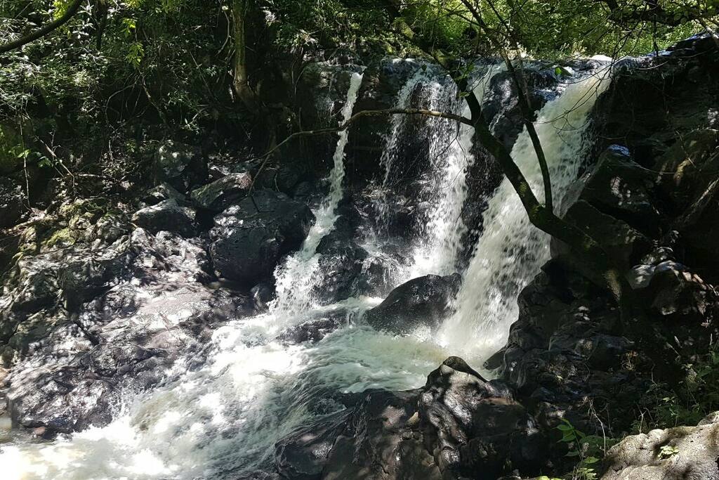 Cascada de mas de 5 metros de caída y pozas para poder bañarse en el agua y disfrutar rodeado de naturaleza