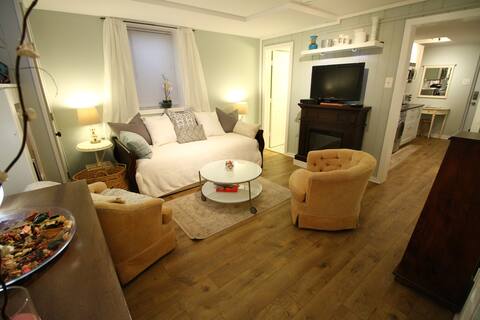 Private, cozy basement APT near DC, FDA, AIRP.