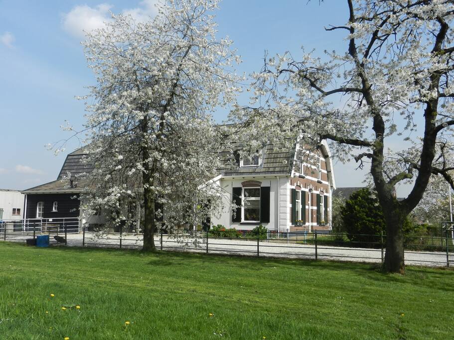 Vanuit de Kersenboomgaard in de bloesemtijd