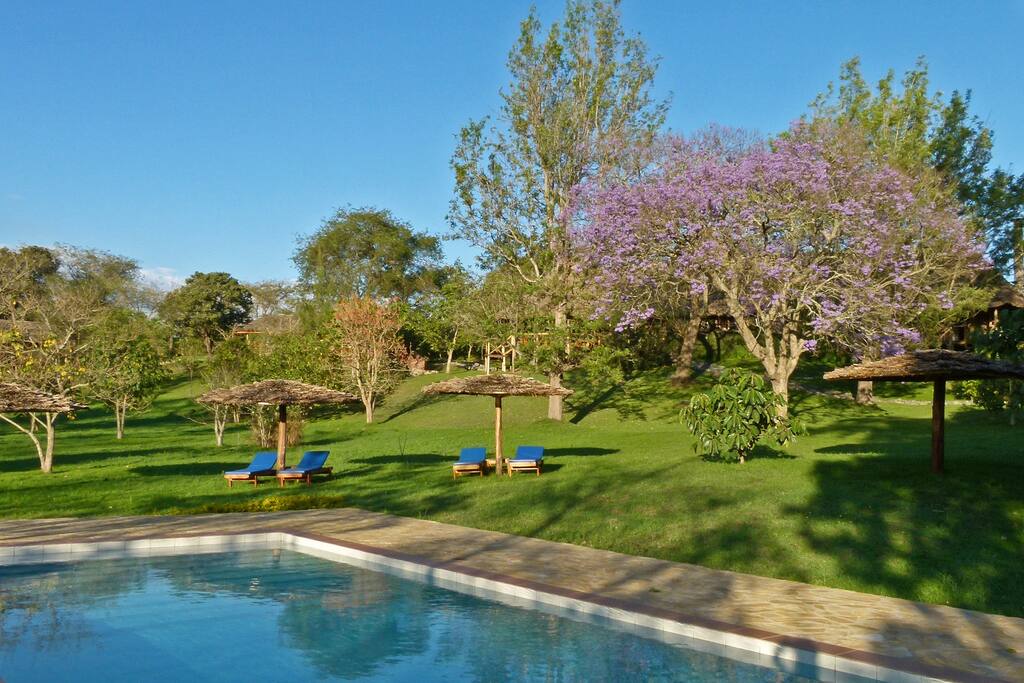 Swimmingpool