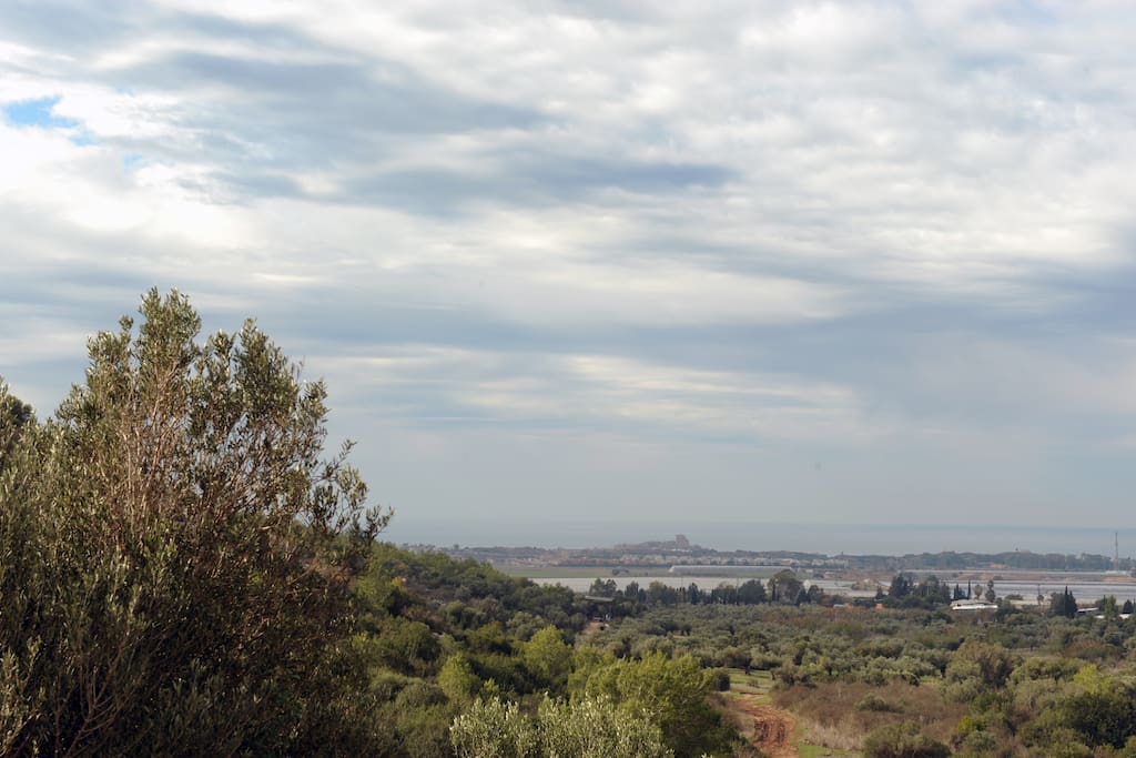 Natural Valley