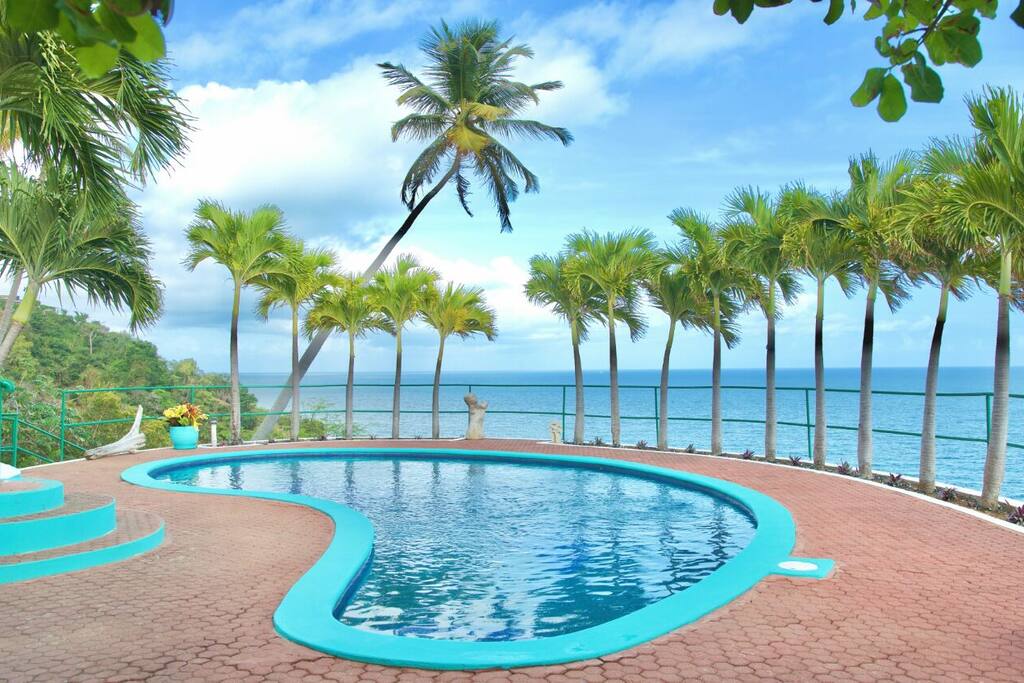 Our 'backyard."