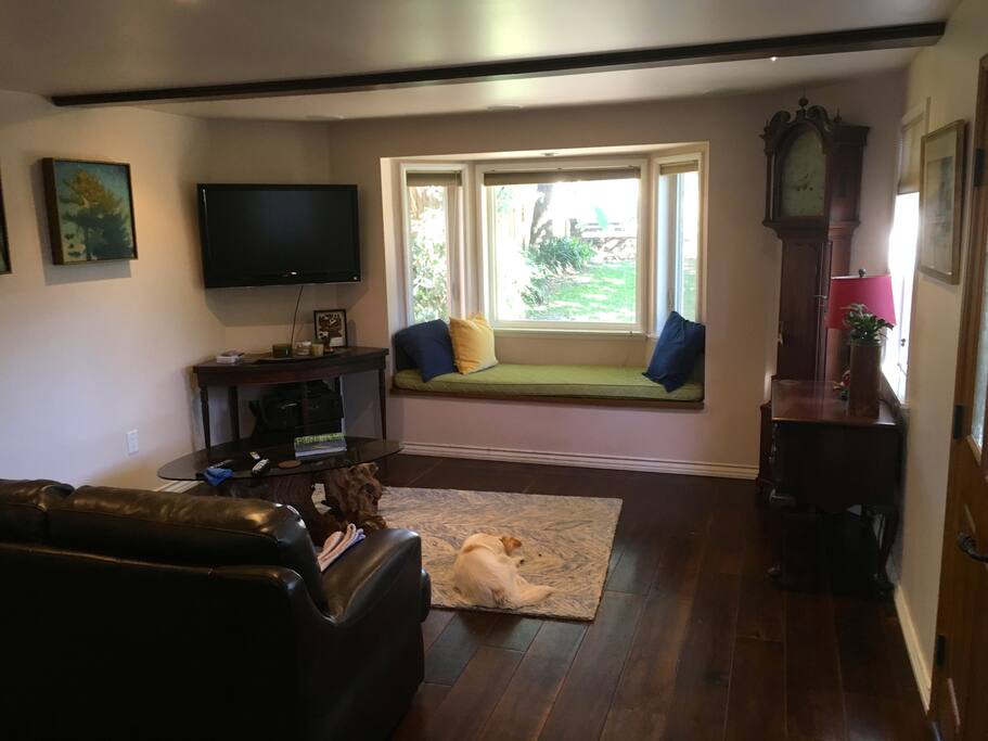 Living Room with a Garden View