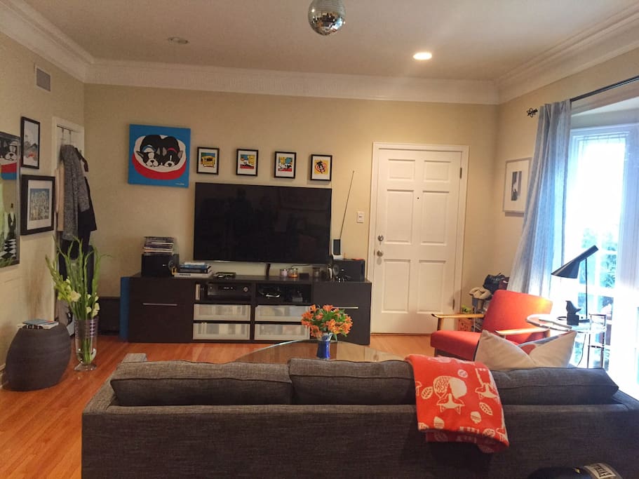 60" 4K HDTV With Playstation, Wii, Netflix, AppleTV, HBO and DVD Movie Library