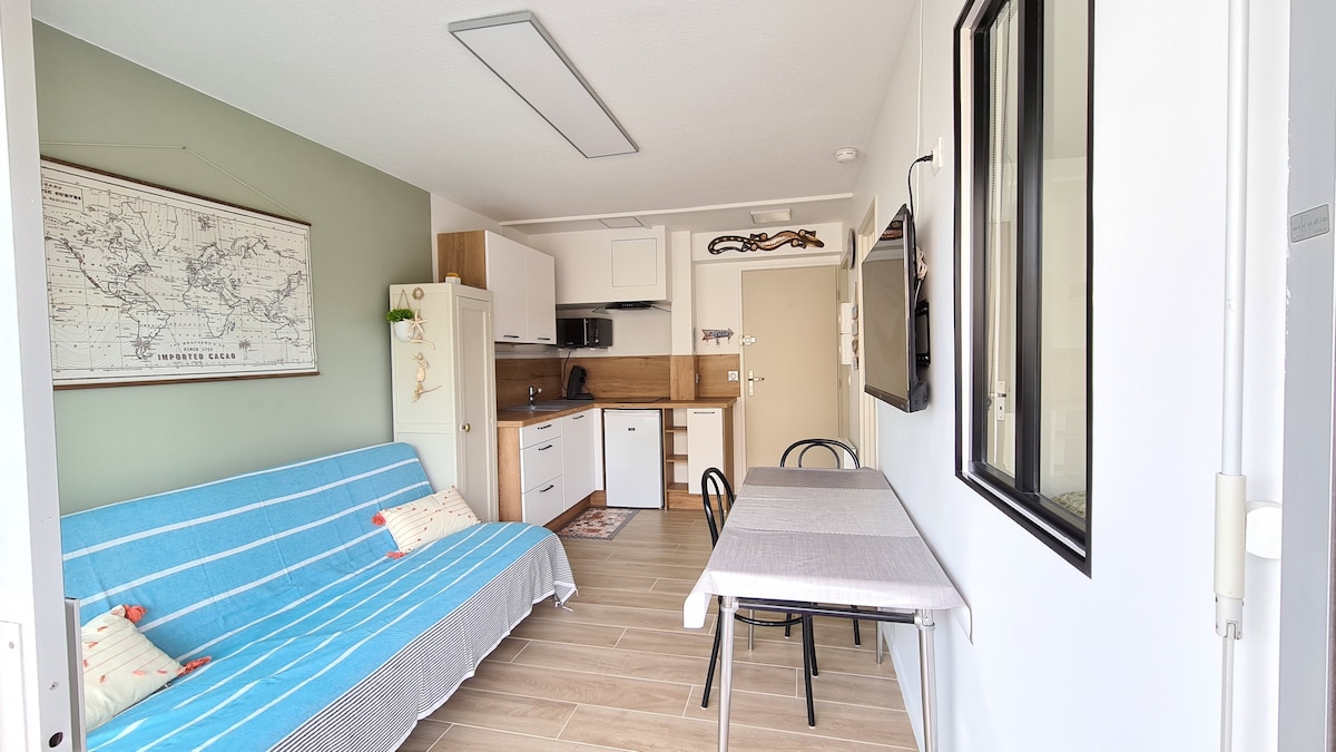 Propriété Airbnb réussie: Argelès-sur-Mer: 2-room apartment with sea view à Argelès Sur Mer