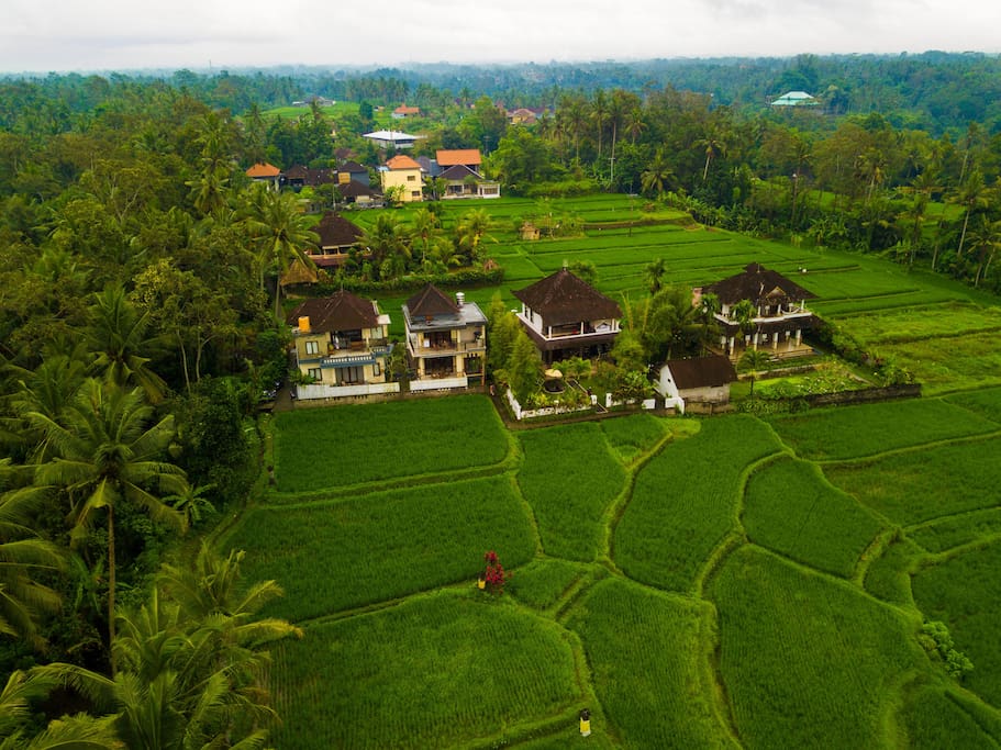 Birds Eye View of The Inn Possible Ubud