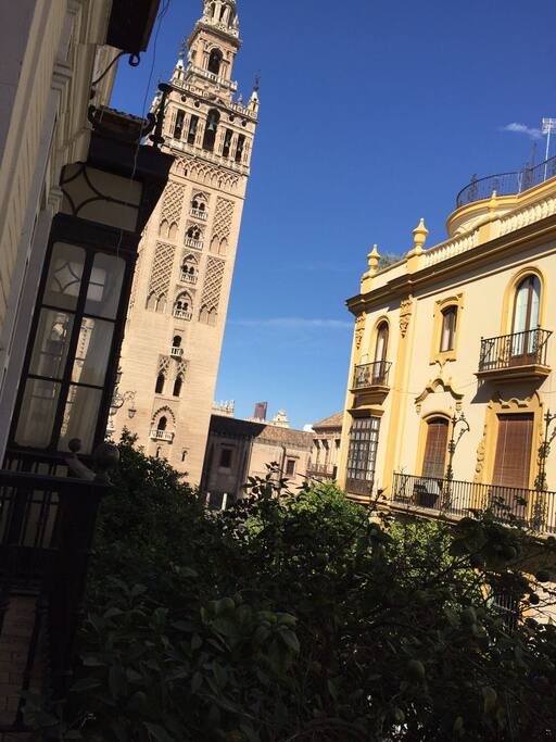 Vistas desde el balcón