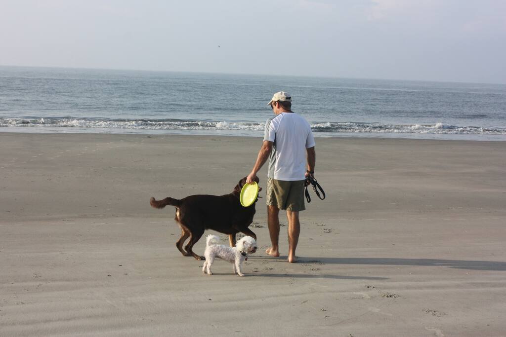 My husband and our two dogs