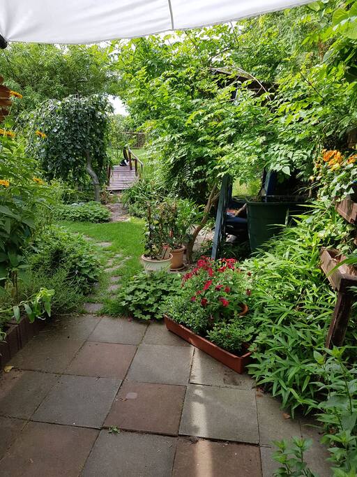 Blick von der Terrasse in den Garten