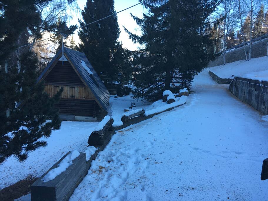 coccolata dalla neve in inverno