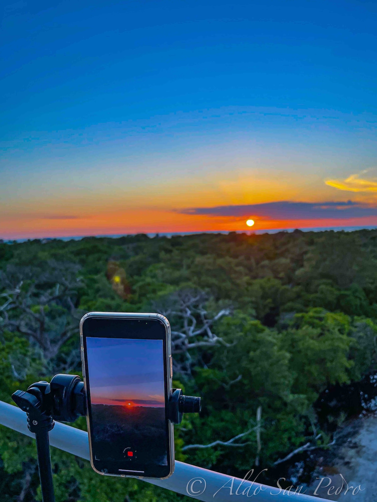 A smartphone is positioned on a stabilizing mount, capturing a sunset view over a lush mangrove forest. The vibrant hues of orange and blue fill the sky, with the sun nestled just above the horizon, surrounded by thick greenery.