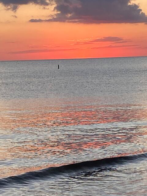 Salt Water & Sunsets! 1/1 Beach across the street!