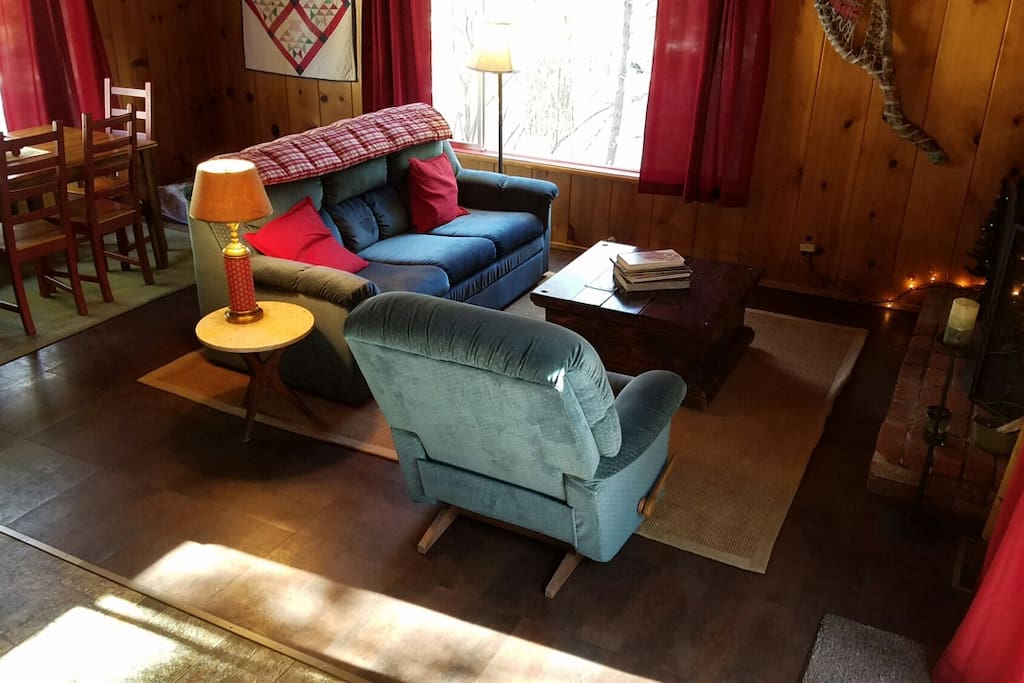 Spacious living room with sofa bed