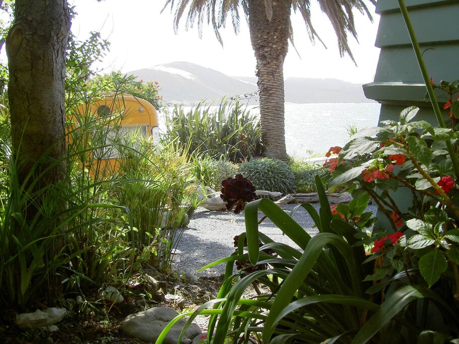 Front yard