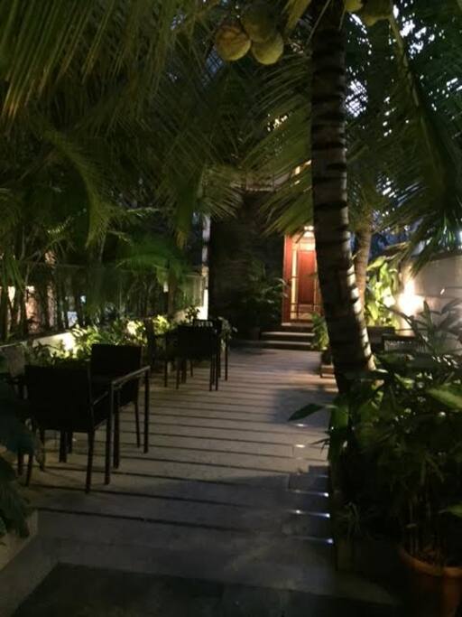 Garden at night