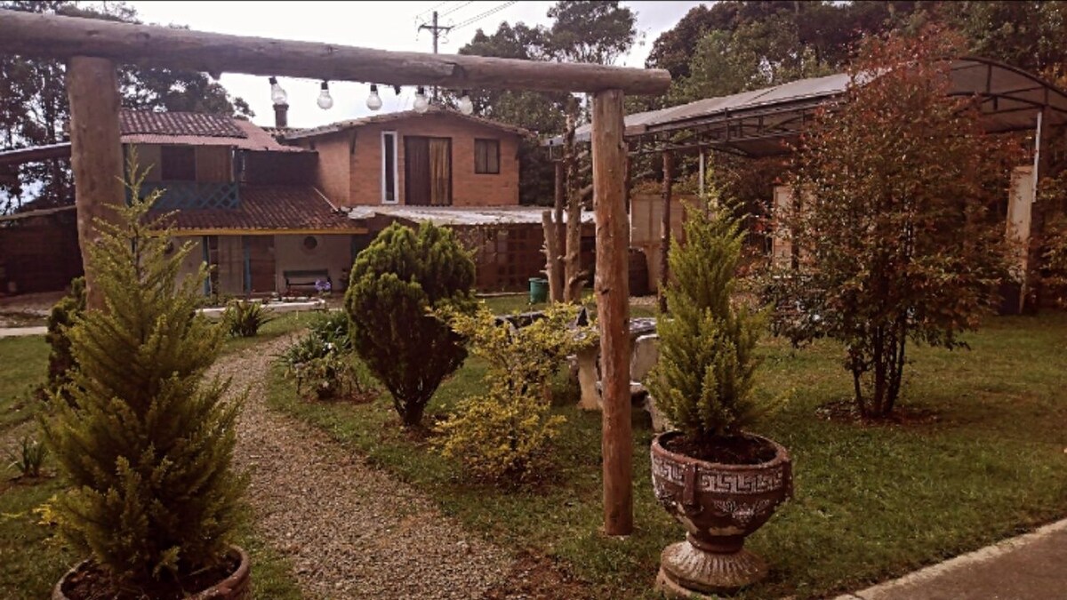A garden area features well-maintained greenery, including small shrubs and potted plants. A wooden archway with hanging lights frames the space, while a gravel path leads towards a brick building in the background, which displays multiple stories and outdoor seating.