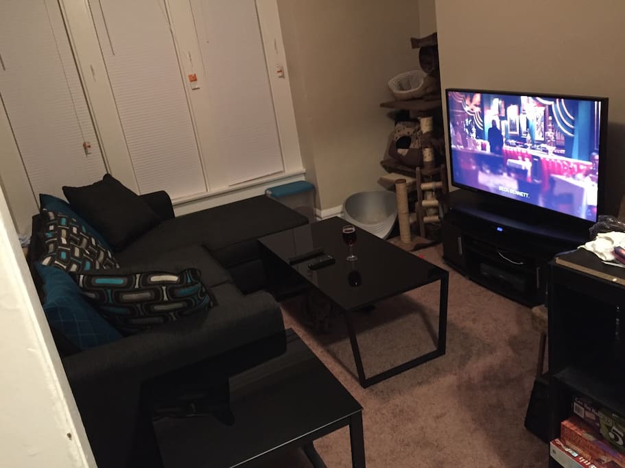 Living room with TV (with access to Netflix, Hulu, Amazon), DVD player (with over 400 DVDs to choose from). Couch can act as second bed.
