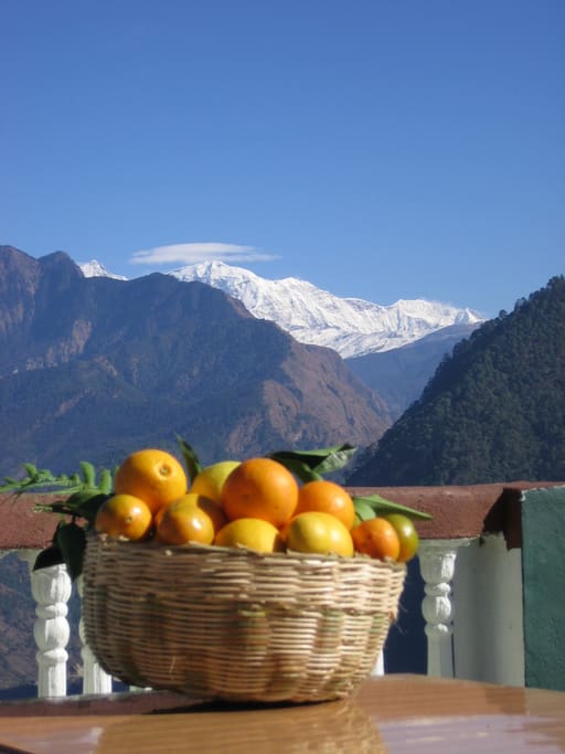 The view from our balcony and terraces