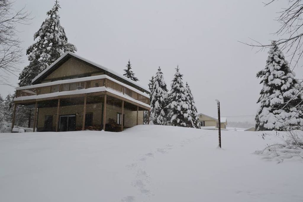 Cottage (back view)