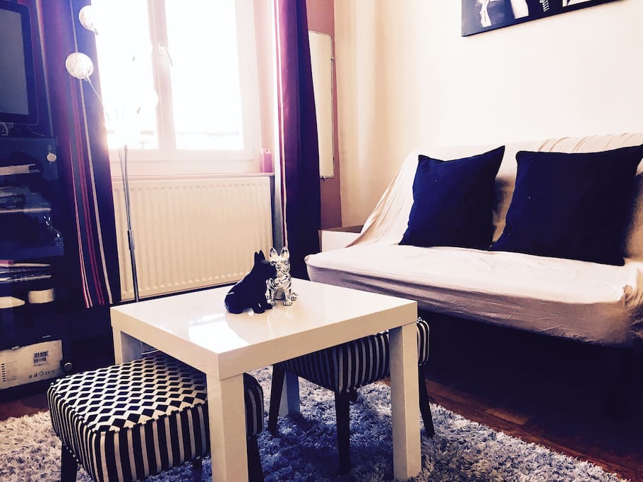 Pièce à vivre. Appartement très lumineux.