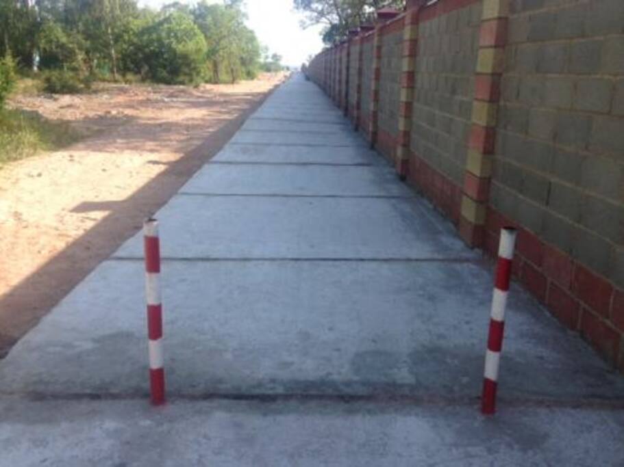 Road to the beach