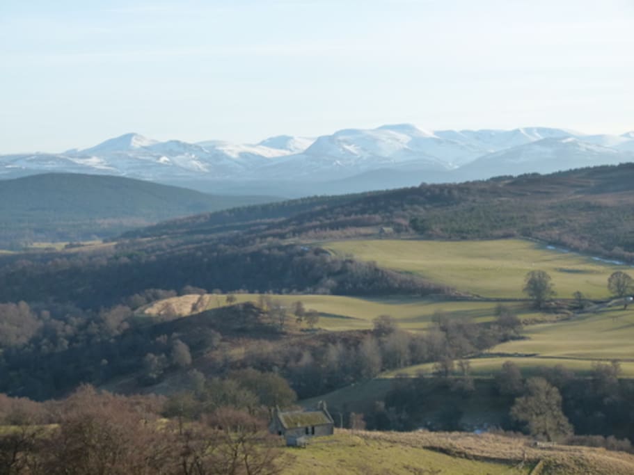 view from West Gorton