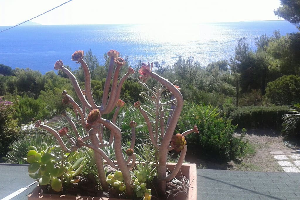 La vista dalla terrazza