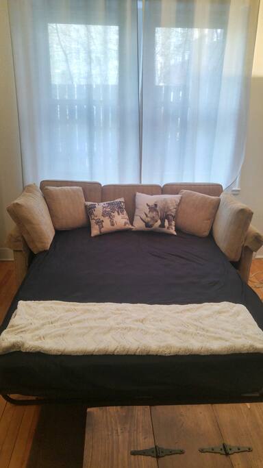 Hide-a-bed / Living Room