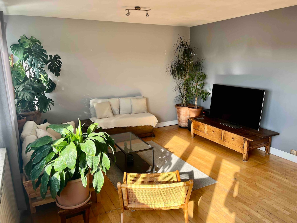 A bright living space is highlighted by natural light streaming through a window. The room features a comfortable seating area with a light-colored sofa and a wooden coffee table. A large television sits against the wall, surrounded by decorative plants in terracotta pots.