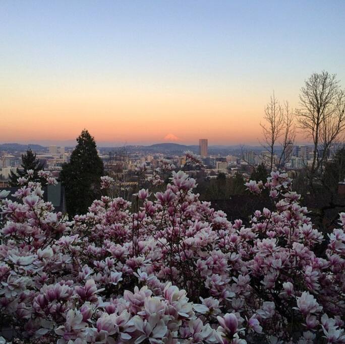 View from the deck in spring