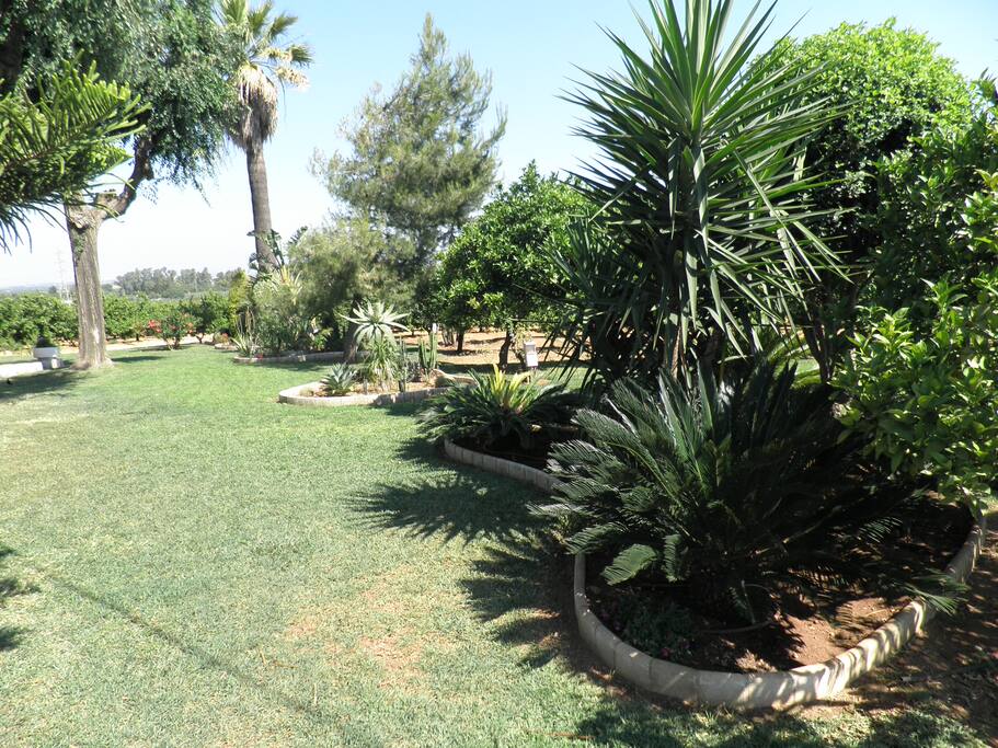 jardín (1)