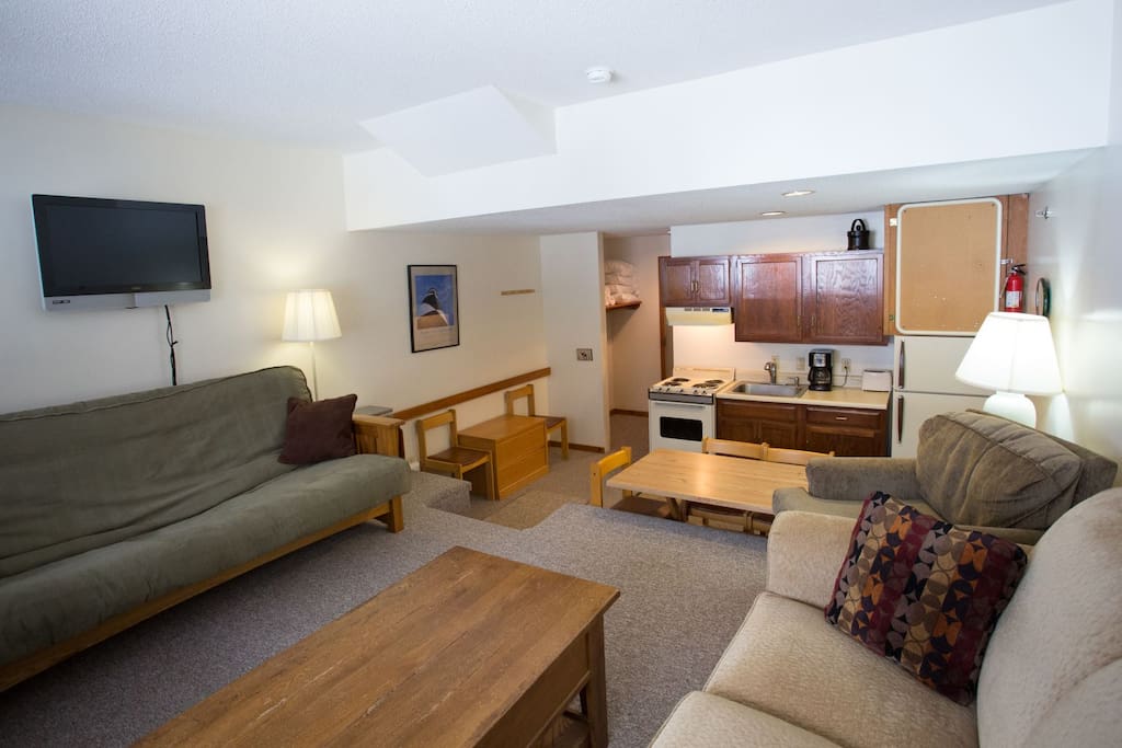 Living Area with Futon and Sleep Sofa