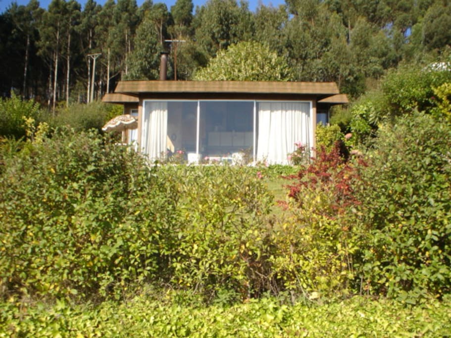 La casa en Villa Cocholgue rodeada de bosque nativo