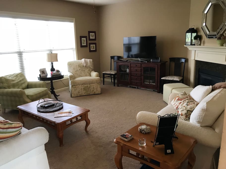 Comfy, open living room; sofa is a sleeper sofa. Board games in/under TV console. TV has Netflix, Amazon Prime, Hulu and a DVD player. Also a spare HDMI cable for your own device.