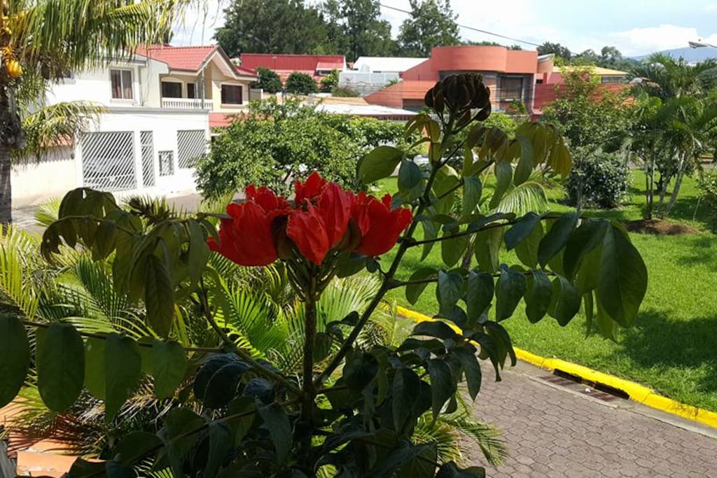 View from your room.