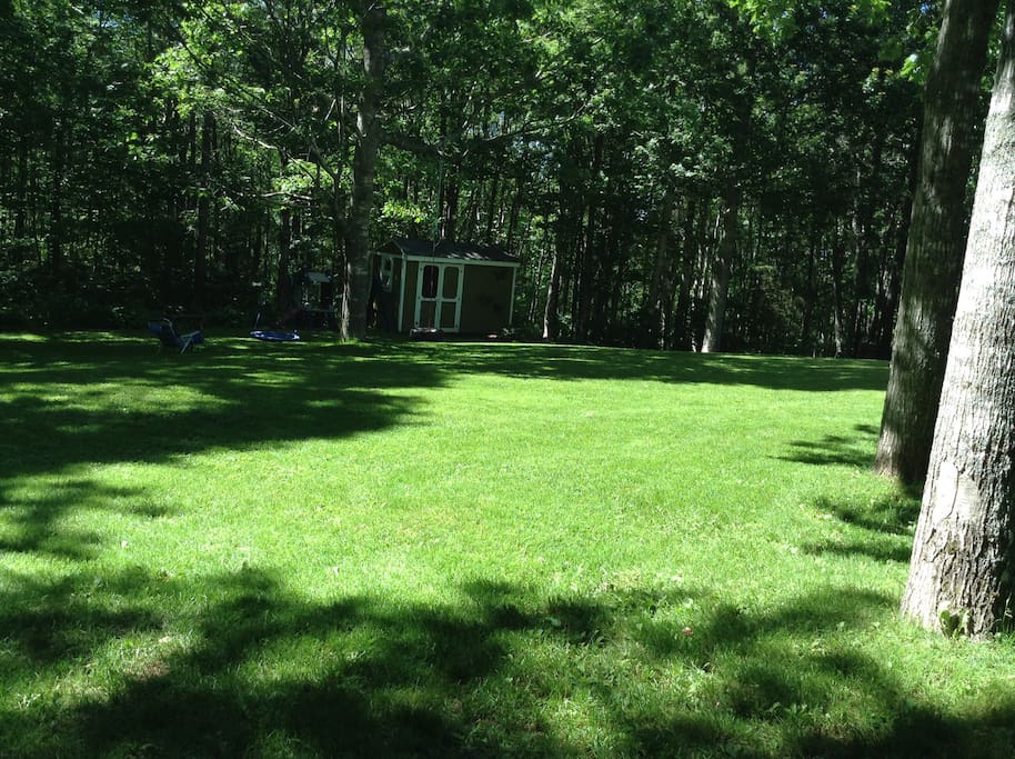 Back yard