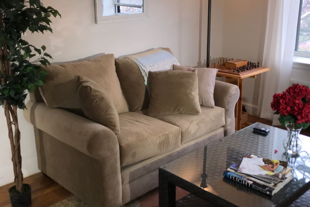 Comfortable couch.