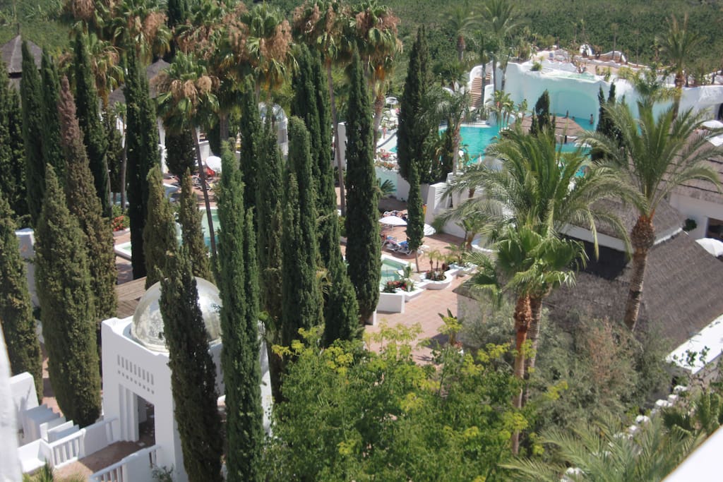 gardens and pool