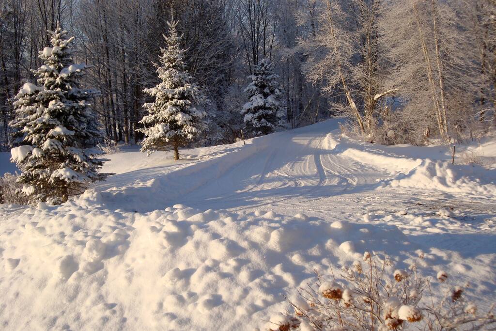 Driveway just after plowed