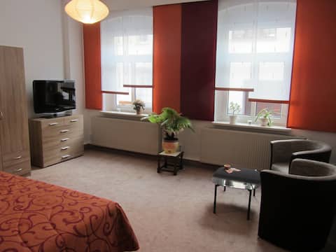 Top Airbnb: Apartment am Park in Zwickau