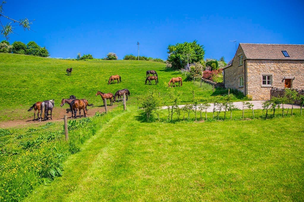 Ashtree Annex - Houses for Rent in Naunton 