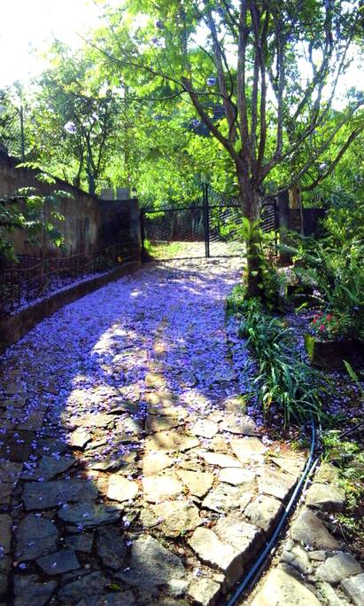 The Cobble Stone Pathway leading to The Planter's Bungalow