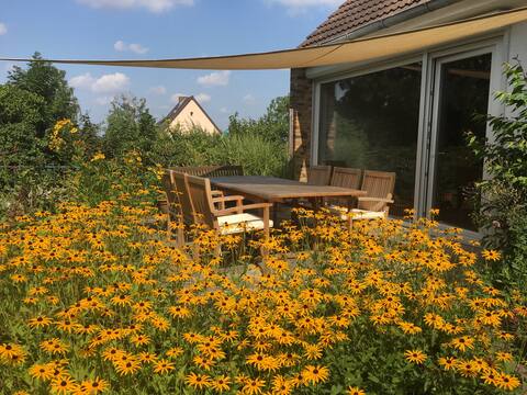Holiday home in Wolfenbüttel near Braunschweig