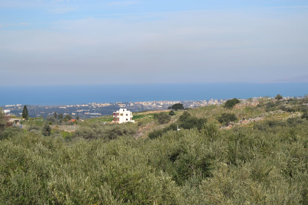 Outside view