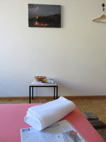 All you need, simple room in central appartement!