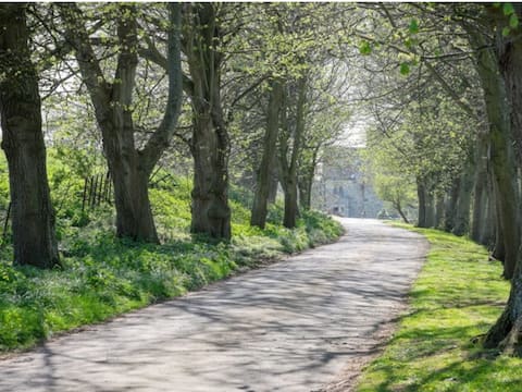 Beautiful medieval 8-bedroom house near the sea