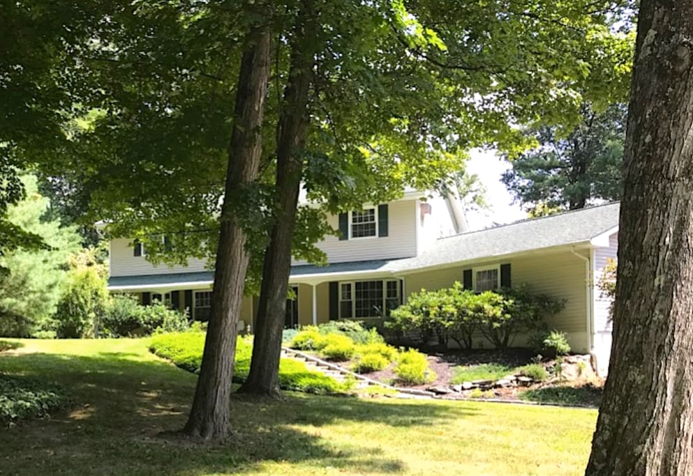 Frontyard