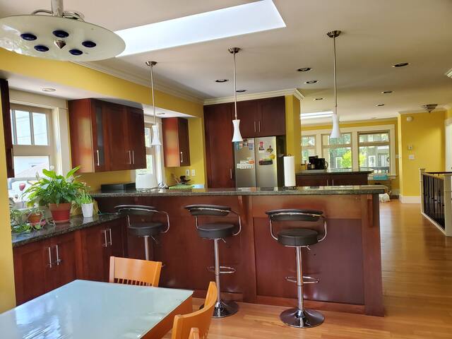 Elegant Sunny Modern Home w/ Skylights – Kitsilano gallery image 3